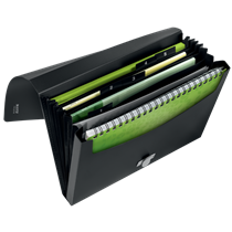 Carpeta Acordeón Leitz Recycle, Co2 Compensado Negro A4