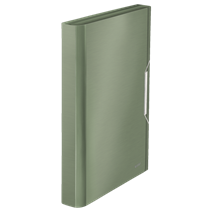 Carpeta Acordeón Style De Leitz Verdeceladón
