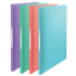 Carpeta Con 40 Fundas Esselte Colour'Breeze Surtidos A4