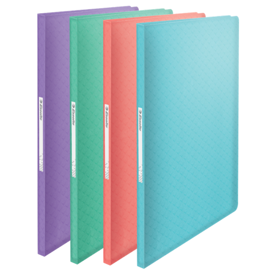 Carpeta Con 40 Fundas Esselte Colour'Breeze Surtidos A4
