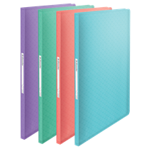Carpeta Con 40 Fundas Esselte Colour'Breeze Surtidos A4