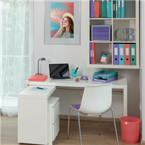 Carpeta Con 80 Fundas Esselte Colour'Breeze Lavanda A4