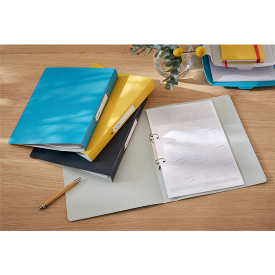 Carpeta De 2 Anillas Leitz Cosy Azul Calma 2 Anillas Redondas 25 Mm A4