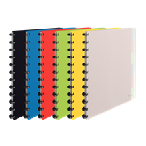 Carpeta De Fundas Extraíbles Vivida De Esselte, Translúcida Surtidos