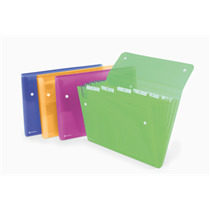 Carpeta Fuelle Rexel Ice 6 Compartimentos Surtidos