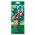 Pinturas Acrílicas Academy De 12 Ml De Derwent (Paquete De 12)