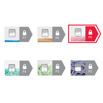 Destructora De Papel Rexel Momentum M510