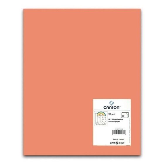 Cartulina CANSON Iris Vivaldi 50 x 65 cm. 185 g. Color Coral