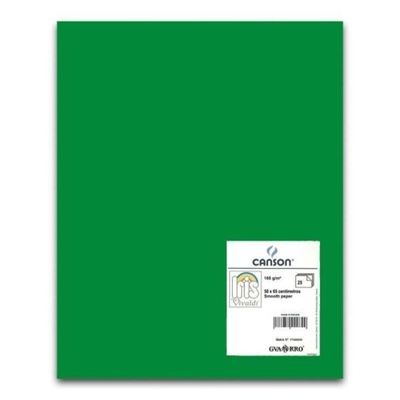 Cartulina CANSON Iris Vivaldi 50 x 65 cm. 185 g. Color Verde Abeto