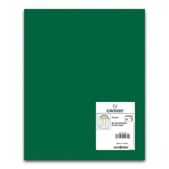 Cartulina CANSON Iris Vivaldi 50 x 65 cm. 185 g. Color Verde Amazona