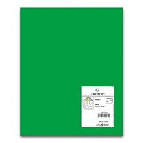 Cartulina CANSON Iris Vivaldi A4 185 g. Paquete x50 Color Verde Billar