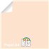Papel Color IRIS 80 g. Paquete x100 Hojas Color Salmón