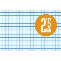 Bloc LAMELA Folio 80 Hojas Tapa Básico Cuadrovía Modelo Cuadrovía 2.5 mm.