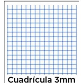 Bloc TAURO Extra Folio 80H 60 g. Tapa Dura Modelo Cuadros 3 mm.
