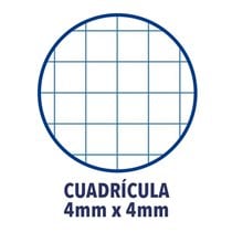 Bloc TAURO Extra Folio 80H 60 g. Tapa Dura Modelo Cuadros 4 mm.