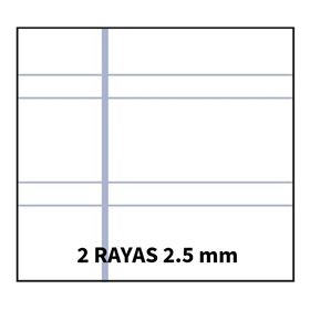 Bloc TAUROPLASTIC Folio 80H 90 g. Tapa Plástico Modelo Pauta 2.5 mm.