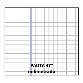Bloc TAUROPLASTIC Folio 80H 90 g. Tapa Plástico Modelo Milimetrado