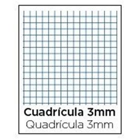 Bloc TAUROPLASTIC Folio 80H 90 g. Tapa Plástico Modelo Cuadros 3 mm.