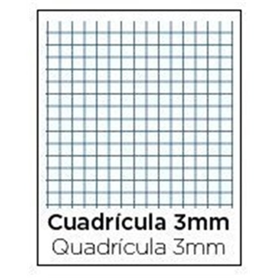Bloc TAUROPLASTIC Folio 80H 90 g. Tapa Plástico Modelo Cuadros 3 mm.