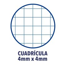Recambio TAURO Extra Folio 100 Hojas 80 g. 16T Modelo Cuadros 4 mm.