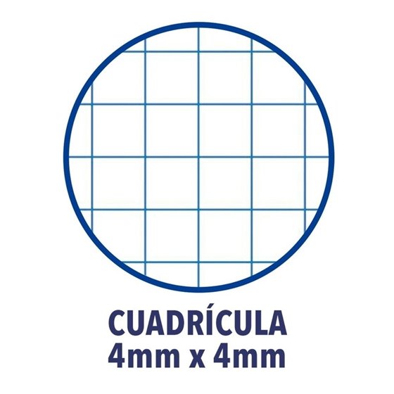 Recambio TAURO Premier A4 100 Hojas 90 g. 4T Modelo Cuadros 4 mm.