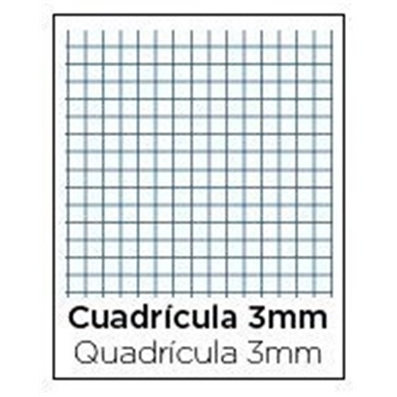 Recambio TAURO Extra Folio 100 Hojas 80 g. 4T Modelo Cuadros 3 mm.