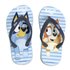 Chanclas Premium Bluey Cerdá T24/25-T30/31: 3,3,3,3