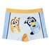 Boxer Baño Bluey Cerdá 2 Años-6 Años: 2,3,3,3,1
