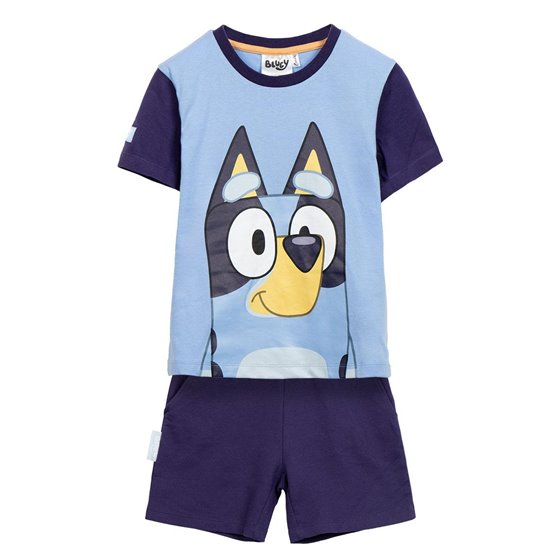 Conjunto 2 Piezas French Terry Bluey Cerdá 2 Años-6 Años: 2,3,3,3,1