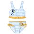Bikini Bluey Cerdá 2 Años-6 Años: 2,3,3,3,1