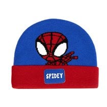 Gorro Punto Aplicaciones Spidey Cerdá Tu:T.Unica