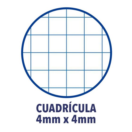 Recambio FIRMÓ A4 100 Hojas 100 g. 4T Modelo Cuadros 4 mm.