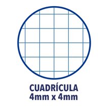 Recambio FIRMÓ A4 100 Hojas 100 g. 4T Modelo Cuadros 4 mm.