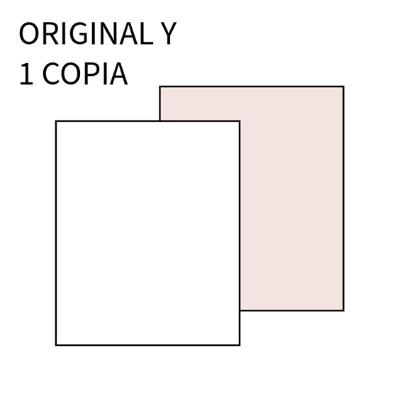 Talonario LOAN Recibo Un Tercio Folio Duplicado T-60 50 Hojas de Original y 1 Copia Rosa