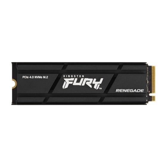 4000G RENEGADE PCIe 4.0 NVMe SSD W/ Difusor térmico