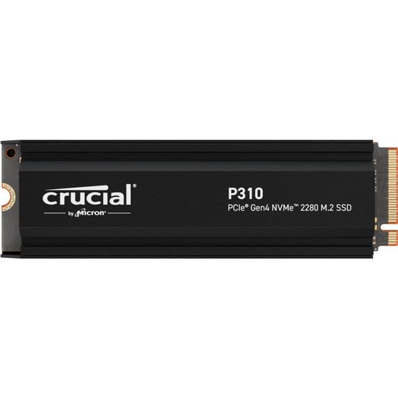P310 1 TB M.2 PCI Express 4.0 NVMe