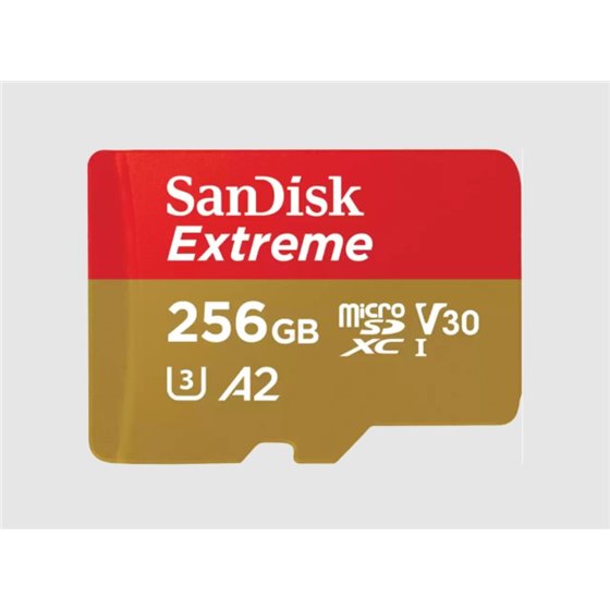 Extreme 256 GB MicroSDXC UHS-I Clase 3