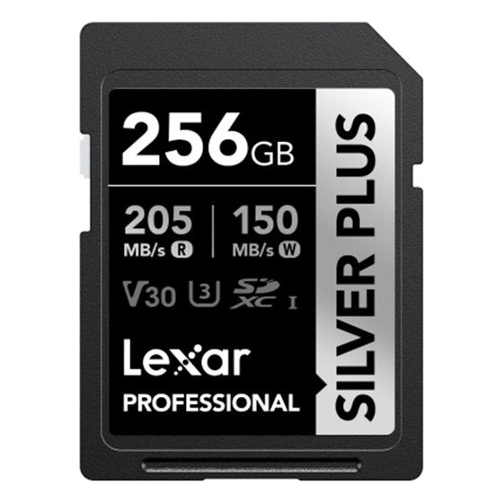 Professional SDXC SilverP UHS-I 256 GB