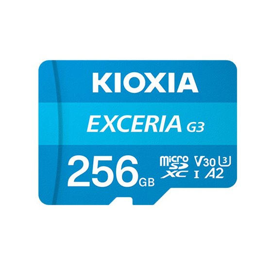 EXCERIA G3 256 GB MicroSDXC UHS-I Clase 10