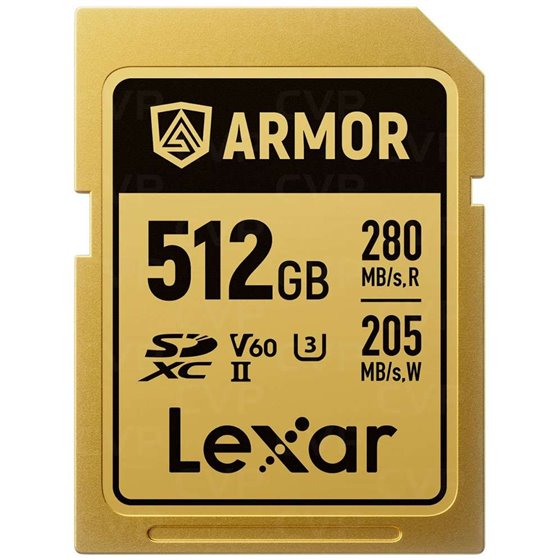 LSDAMGL512G 512 GB SDXC UHS-II