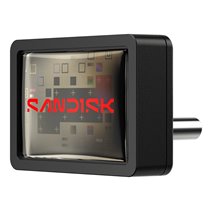 Extreme Fit unidad flash USB 64 GB USB Tipo C 3.2 Gen 1 (3.1 Gen 1) Negro