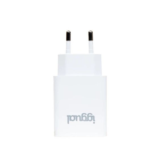 Cargador de pared 1xUSB 5V/2.4A (12W)