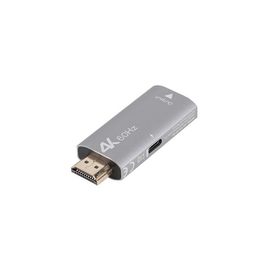AD-HD-DP-01 adaptador de cable de vídeo 0 m HDMI tipo A (Estándar) DisplayPort Plata