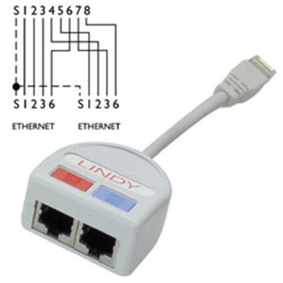 UTP Port Doubler cable de red Gris