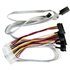 ACK-I-HDmSAS-4SAS-SB-.8M 0,8 m Multicolor