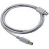 Straight Cable - Type A USB cable USB 2 m