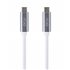 30402010 cable USB 1 m USB 3.2 Gen 2 (3.1 Gen 2) USB C Gris