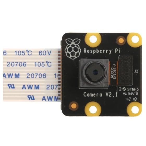 PiNoir Camera Module V2.1 Cámara Multicolor