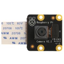 PiNoir Camera Module V2.1 Cámara Multicolor