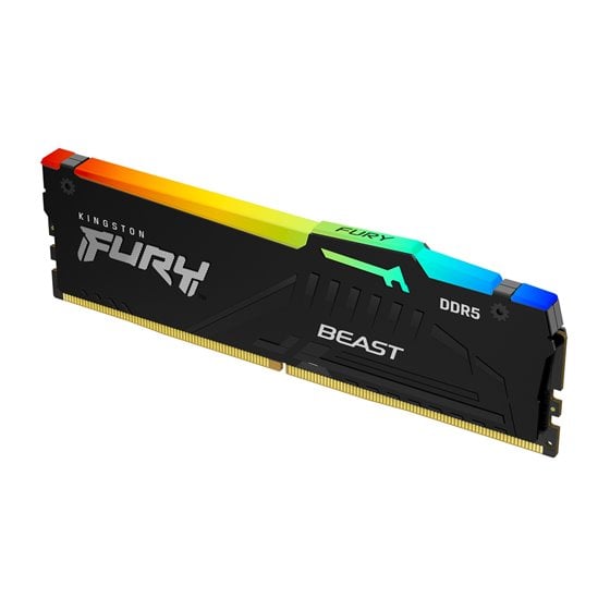 FURY Beast 16 GB 5600 MT/s DDR5 CL40 DIMM RGB